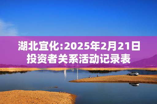 湖北宜化:2025年2月21日投资者关系活动记录表