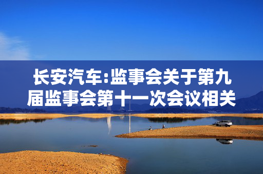 长安汽车:监事会关于第九届监事会第十一次会议相关事项的核查意见