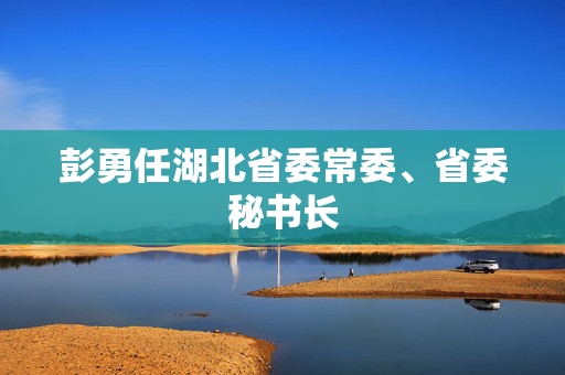 彭勇任湖北省委常委、省委秘书长