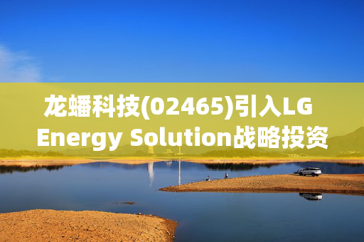 龙蟠科技(02465)引入LG Energy Solution战略投资 加强布局锂电产业