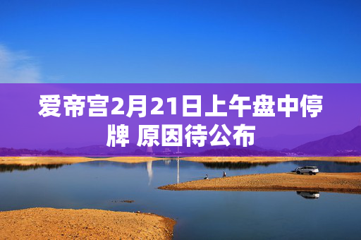 爱帝宫2月21日上午盘中停牌 原因待公布