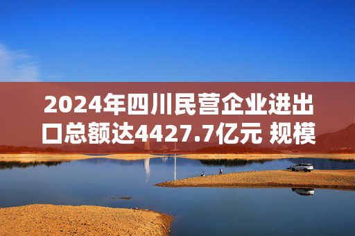 2024年四川民营企业进出口总额达4427.7亿元 规模创新高