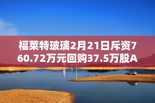 福莱特玻璃2月21日斥资760.72万元回购37.5万股A股