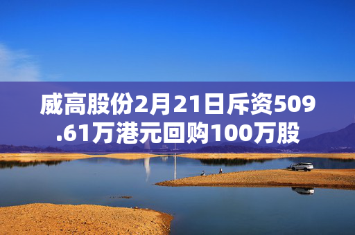 威高股份2月21日斥资509.61万港元回购100万股