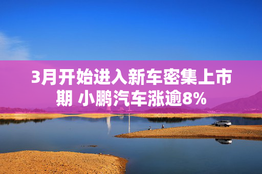 3月开始进入新车密集上市期 小鹏汽车涨逾8%