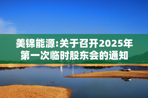 美锦能源:关于召开2025年第一次临时股东会的通知