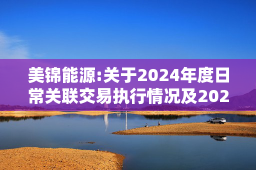 美锦能源:关于2024年度日常关联交易执行情况及2025年度日常关联交易预计情况的公告