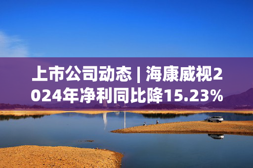 上市公司动态 | 海康威视2024年净利同比降15.23%，晶澳科技、和辉光电拟“A+H”，赛力斯并购超级工厂获批