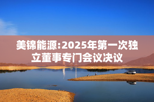 美锦能源:2025年第一次独立董事专门会议决议