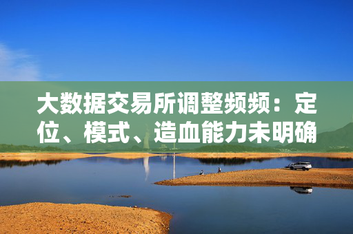 大数据交易所调整频频：定位、模式、造血能力未明确