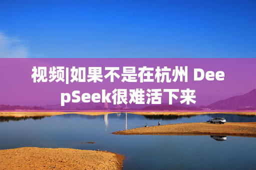 视频|如果不是在杭州 DeepSeek很难活下来