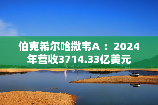 伯克希尔哈撒韦A ：2024年营收3714.33亿美元