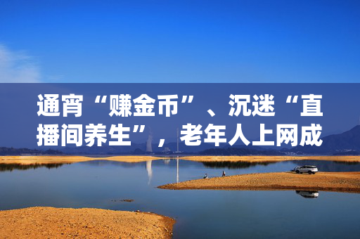 通宵“赚金币”、沉迷“直播间养生”，老年人上网成瘾何解？