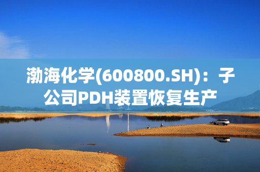 渤海化学(600800.SH)：子公司PDH装置恢复生产