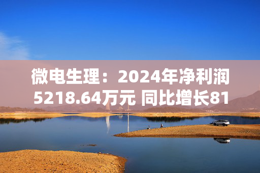 微电生理：2024年净利润5218.64万元 同比增长817.4%