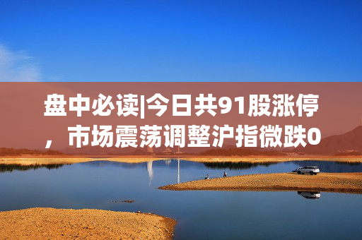 盘中必读|今日共91股涨停，市场震荡调整沪指微跌0.18%，农业板块逆势走高