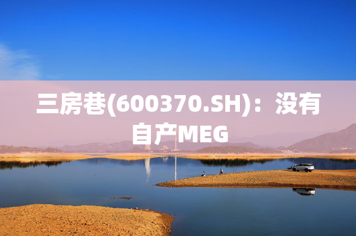 三房巷(600370.SH)：没有自产MEG