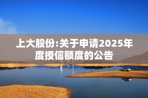 上大股份:关于申请2025年度授信额度的公告