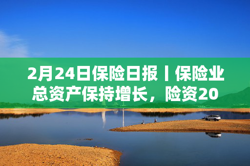 2月24日保险日报丨保险业总资产保持增长，险资2024年综合投资收益率超7%，险资举牌继续升温