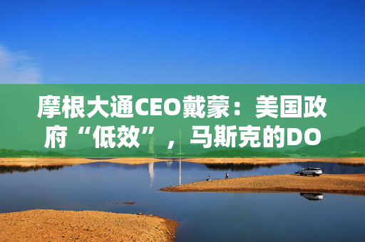 摩根大通CEO戴蒙：美国政府“低效”，马斯克的DOGE“势在必行”