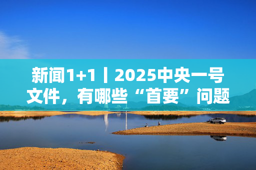 新闻1+1丨2025中央一号文件，有哪些“首要”问题？