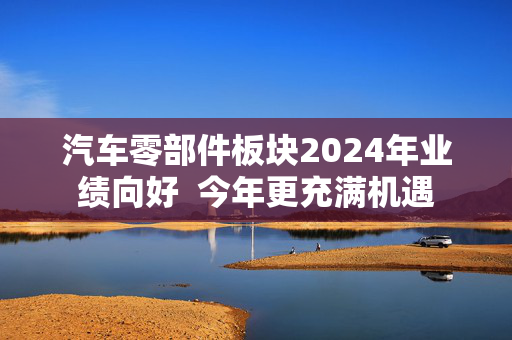 汽车零部件板块2024年业绩向好  今年更充满机遇