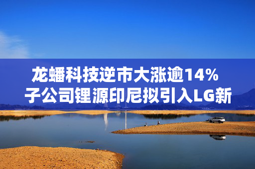 龙蟠科技逆市大涨逾14% 子公司锂源印尼拟引入LG新能源为战投