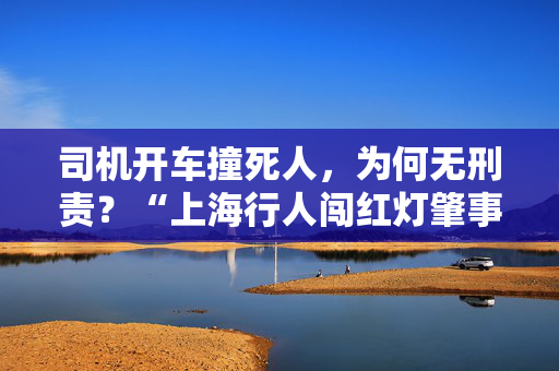 司机开车撞死人，为何无刑责？“上海行人闯红灯肇事案”审理始末