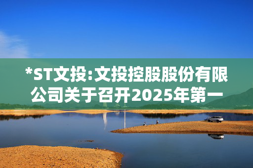 *ST文投:文投控股股份有限公司关于召开2025年第一次临时股东会的通知