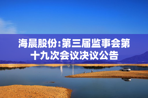 海晨股份:第三届监事会第十九次会议决议公告