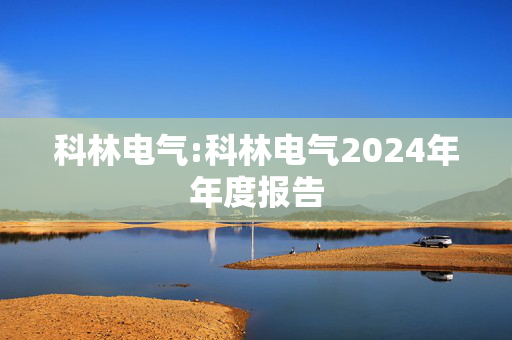 科林电气:科林电气2024年年度报告