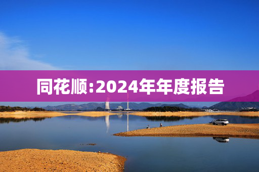 同花顺:2024年年度报告