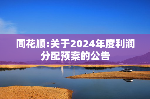 同花顺:关于2024年度利润分配预案的公告