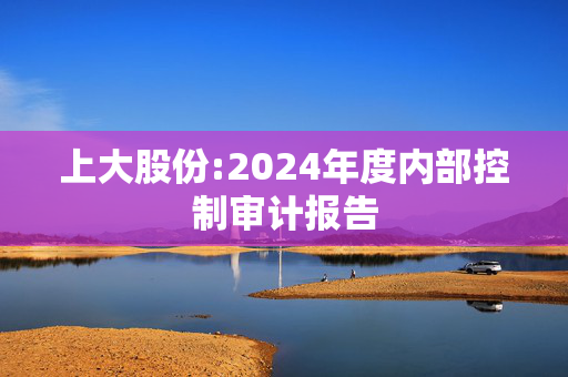 上大股份:2024年度内部控制审计报告