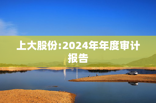 上大股份:2024年年度审计报告