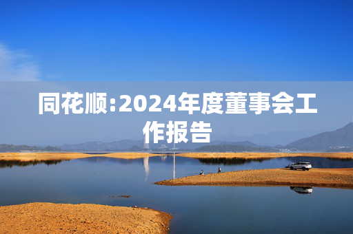 同花顺:2024年度董事会工作报告