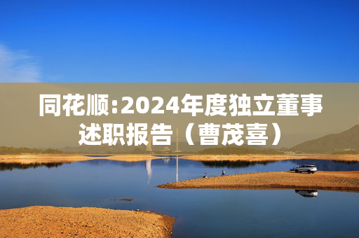 同花顺:2024年度独立董事述职报告（曹茂喜）