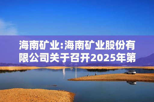 海南矿业:海南矿业股份有限公司关于召开2025年第二次临时股东大会的通知