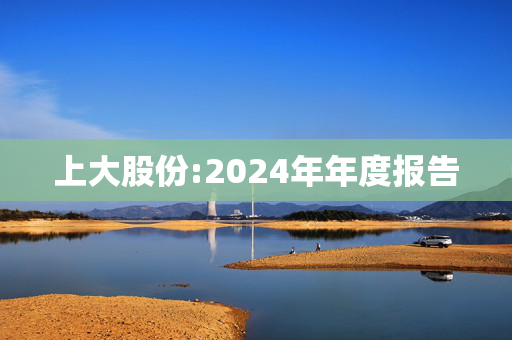 上大股份:2024年年度报告