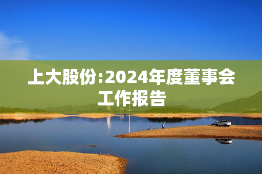 上大股份:2024年度董事会工作报告