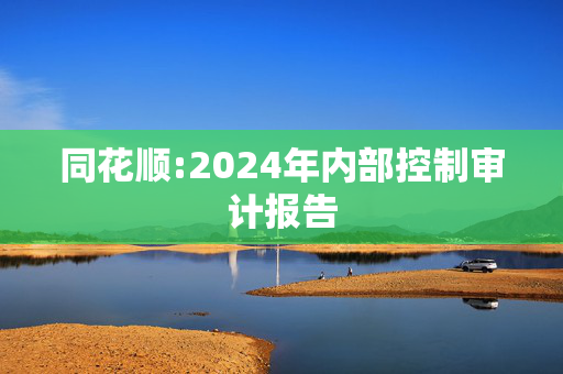 同花顺:2024年内部控制审计报告