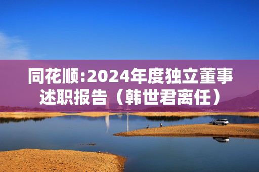 同花顺:2024年度独立董事述职报告（韩世君离任）