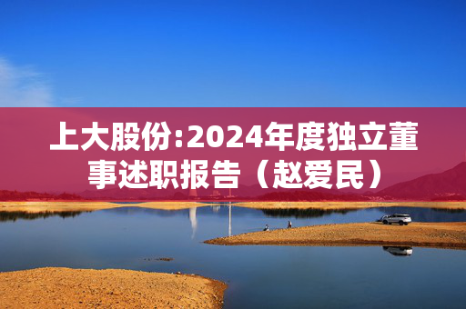 上大股份:2024年度独立董事述职报告（赵爱民）