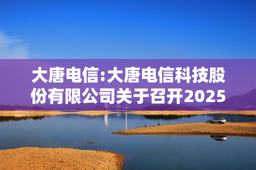 大唐电信:大唐电信科技股份有限公司关于召开2025年第一次临时股东大会的通知