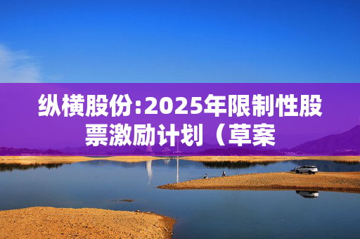 纵横股份:2025年限制性股票激励计划（草案