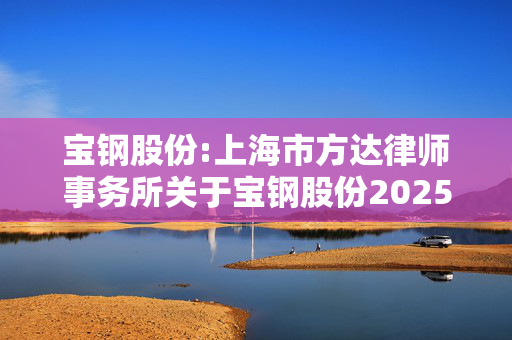 宝钢股份:上海市方达律师事务所关于宝钢股份2025年第一次临时股东大会之法律意见书