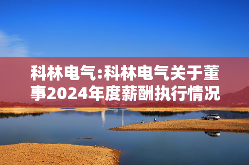 科林电气:科林电气关于董事2024年度薪酬执行情况及2025年度薪酬方案的公告