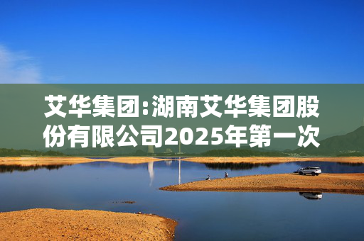 艾华集团:湖南艾华集团股份有限公司2025年第一次临时股东大会决议公告