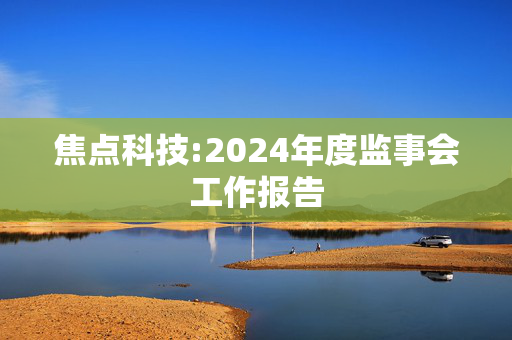 焦点科技:2024年度监事会工作报告