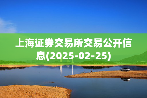 上海证券交易所交易公开信息(2025-02-25)